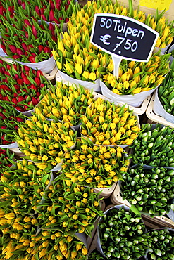 Bloemenmarkt Flower Market, Amsterdam, Netherlands, Europe