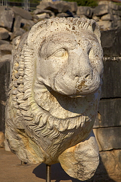 Stone lion at Temple of Apollo, Didyma, Anatolia, Turkey, Asia Minor, Eurasia