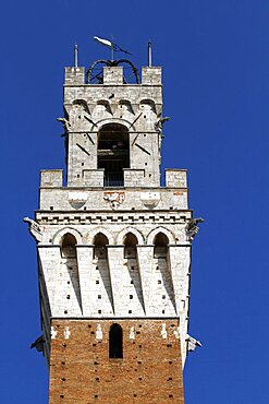 Palazzo Pubblico Tower, Siena, UNESCO World Heritage Site, Tuscany, Italy, Europe