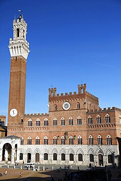 Palazzo Pubblico Tower, Siena, UNESCO World Heritage Site, Tuscany, Italy, Europe