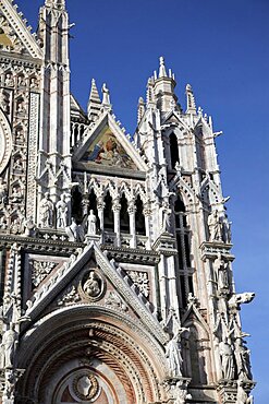 Carvings on Cathedral of Siena facade, Siena, UNESCO World Heritage Site, Tuscany, Italy, Europe