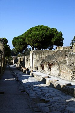 Ancient Roman Street Cardo V, Herculaneum, UNESCO World Heritage Site, Naples, Campania, Italy, Europe