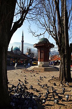 Sebilj Fountain and Emperor's Mosque (Careva Dzamija), Sarajevo, Bosnia, Bosnia and Herzegovina, Europe