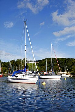 White yachts and boats, Lake District, Cumbria, England, United Kingdom, Europe