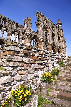 Whitby Abbey stonework, Whitby, North Yorkshire, Yorkshire, England, United Kingdom, Europe