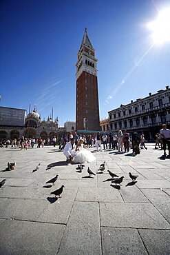 Wedding bride and groom with Campanile behind in Piazza San Marco, Venice, UNESCO World Heritage Site, Veneto, Italy, Europe