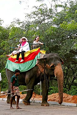 Tourists on elephant ride in lake, Sigiriya, Sri Lanka, Asia