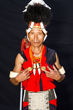 Naga tribal man in traditional outfit, Kisima Nagaland Hornbill festival, Kohima, Nagaland, India, Asia