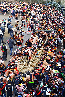 Stone pulling ceremony during Kisima Nagaland Hornbill festival, Kohima, Nagaland, India, Asia