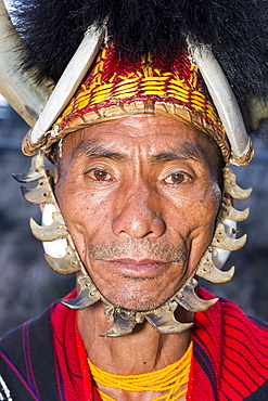 Naga tribal man in traditional outfit, Kisima Nagaland Hornbill festival, Kohima, Nagaland, India, Asia