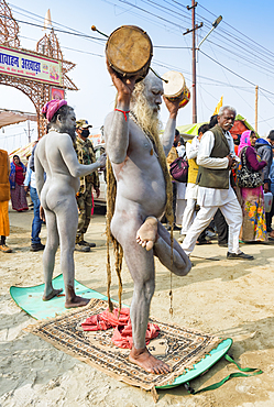 Sadhus performing a ceremony, Allahabad Kumbh Mela, largest religious gathering, Allahabad, Uttar Pradesh, India, Asia