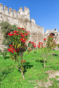 Mamure castle, Anamur, Anatolia, Southwest Turkey, Asia Minor, Eurasia 