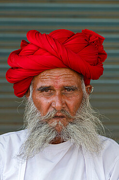 Indian man, member of the Rabari tribe, with a red turban, Bera, Rajasthan, India, Asia