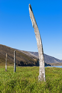 Whale Bone Alley, Ittygran Island, Chukotka, Russia, Eurasia