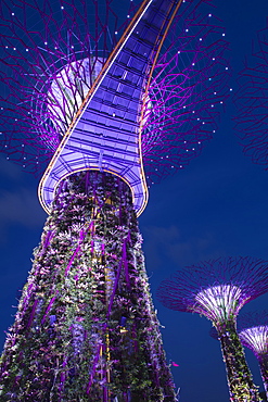 Gardens by the Bay at night, Singapore, Southeast Asia, Asia