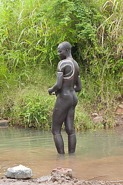 Before the Donga stick fight, the Surma warriors apply a body paint made of clay and mineral on their bodies, Surma tribe, Tulgit, Omo River Valley, Ethiopia, Africa