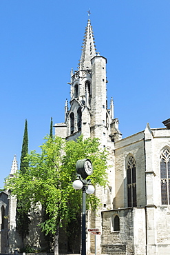 Saint Pierre Basilica, Avignon, Vaucluse, Provence, France, Europe