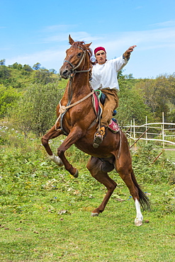 Man on a rearing horse, Kazakh ethnographical village Aul Gunny, Talgar city, Almaty, Kazakhstan, Central Asia, Asia