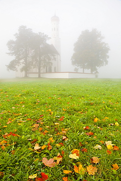 Saint Koloman Church in fog, near Fussen, Bavaria, Germany, Europe 