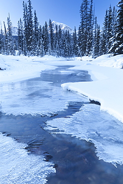 Small Stream in Winter, Banff National Park, Alberta, Canada, North America