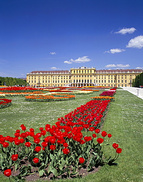 Palace and gardens, Schonbrunn, UNESCO World Heritage Site, Vienna, Austria, Europe