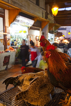 Poultry on sale, Fes el Bali Medina, Fez, Morocco, North Africa, Africa 