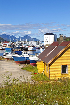 The shipping town of Ballstad, Vestvagoy, Lofoten Islands, Nordland, Norway, Scandinavia, Europe