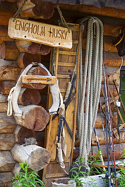 Engholm Husky Centre, Karajok, Finnmark, Norway, Scandinavia, Europe