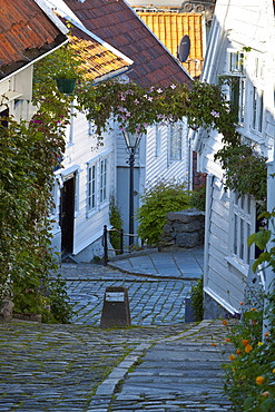 Wooden houses and cobbled streets in Stavanger's old town, Stavanger, Rogaland, Norway, Scandinavia, Europe 