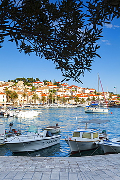 Hvar's picturesque harbour, Stari Grad (Old Town), Hvar, Dalmatia, Croatia, Europe