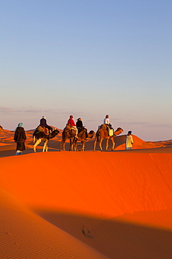 Tourists on camel safari, Sahara Desert, Merzouga, Morocco, North Africa, Africa 