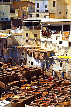 The Tanneries, Medina (old town), Fes, Morocco, North Africa, Africa