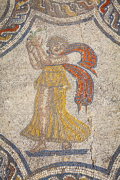 Mosaic detail from the House of Dionysus, Volubilis, UNESCO World Heritage Site, Morocco, North Africa, Africa 