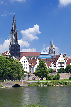 View over River Danube to the old town of Ulm with Minster (Muenster), Baden Wurttemberg, Germany, Europe