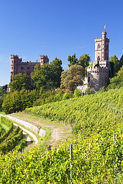 Schloss Ortenberg Castle, Offenburg, Ortenau, Black Forest, Baden Wurttemberg, Germany, Europe