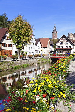 Oppenau, Black Forest, Baden Wurttemberg, Germany, Europe