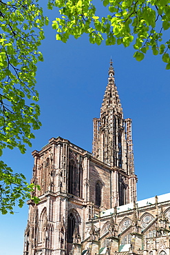 Strasbourg Cathedral Notre Dame, UNESCO World Heritage Site, Strasbourg, Alsace, France, Europe