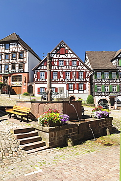 Half-timbered houses, market place, Schiltach, Black Forest, Kinzigtal Valley, Baden-Wurttemberg, Germany, Europe