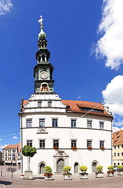 Townhall at market square, Pirna, Saxon Switzerland, Saxony, Germany, Europe