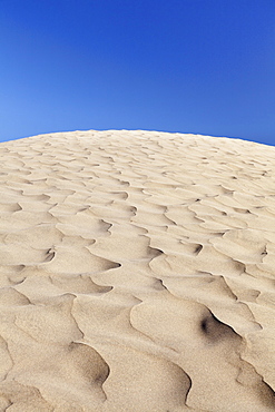 Dunes of Maspalomas, Maspalomas, Gran Canaria, Canary Islands, Spain, Atlantic, Europe 