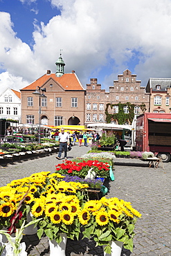 Weekly market at the market place of Husum, Schleswig Holstein, Germany, Europe