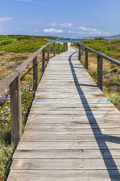 Path (boardwalk) to Porto Pollo Beach, Porto Puddu, Gallura, Sardinia, Italy, Mediterranean, Europe