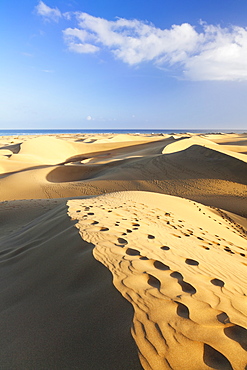 Sand dunes of Maspalomas, Maspalomas, Gran Canaria, Canary Islands, Spain, Atlantic, Europe 