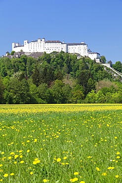 Hohensalzburg Fortress, Salzburg, Salzburger Land, Austria, Europe 