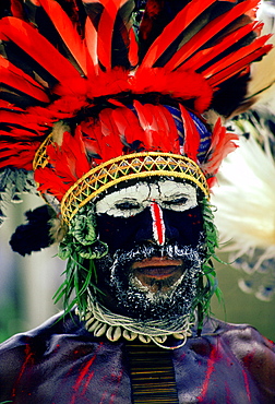 Bearded tribesman wearing war paints and feathered headdress during  a gathering of tribes at Mount Hagen in Papua New Guinea