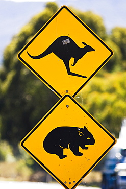 Animals Crossing sign on Great Western Highway from Sydney, New South Wales, Australia