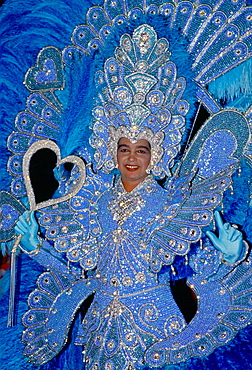 A Rio Carnival Dancer