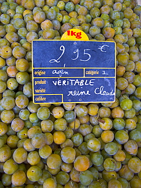 Greengages, Reine Claudes, on sale in a  food market in Ars en R?, France