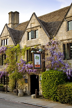 The Bay Tree Hotel covered in wisteria, Burford,The Cotswolds, United Kingdom