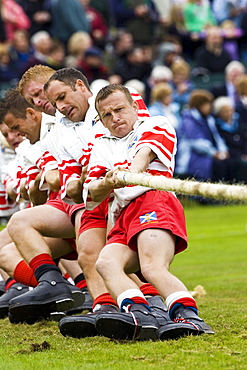 Men compete in Tug O' War contest at the Braemar Games Highland Gathering, Scotland, UK